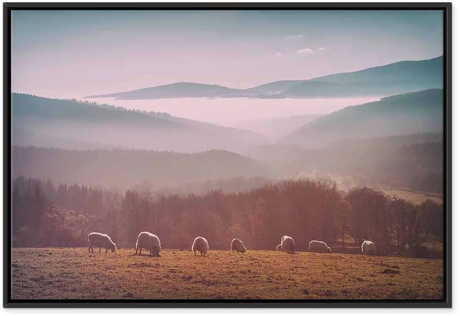 Artgeist Paveikslas - Sheep in Mountain Landscape (1-part) - Animals in Nature