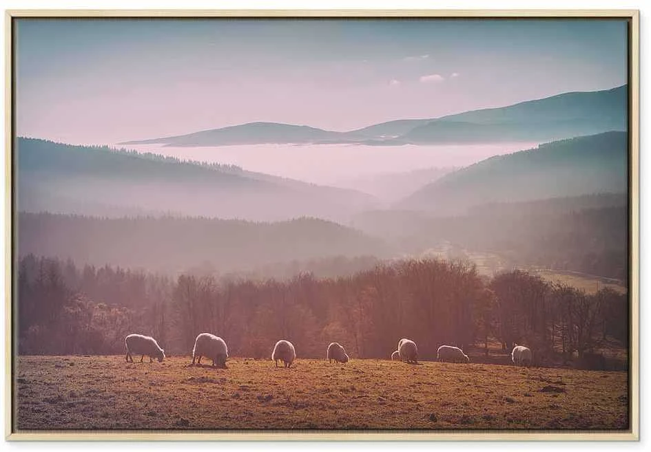 Artgeist Paveikslas - Sheep in Mountain Landscape (1-part) - Animals in Nature