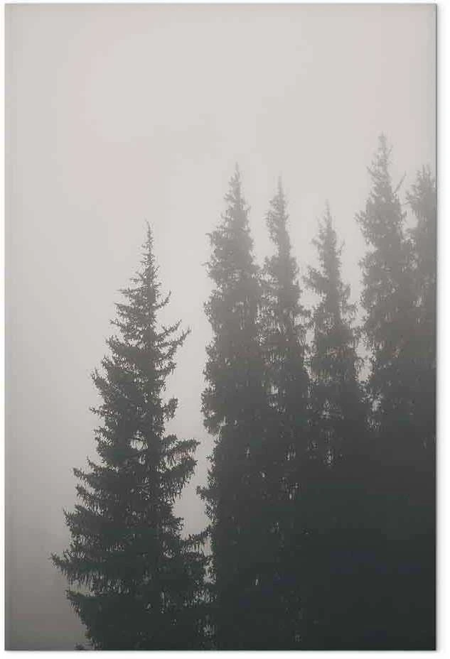 Artgeist Paveikslas - Smell of Forest Fog (1 Part) Vertical