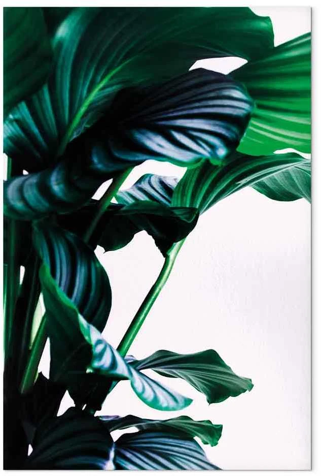 Artgeist Paveikslas - Springy Leaves (1 Part) Vertical