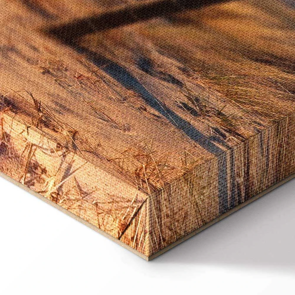 Artgeist Paveikslas - Sunset Path