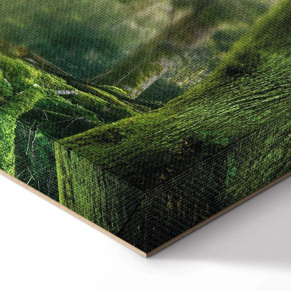Artgeist Paveikslas - The Beauty of the Forest