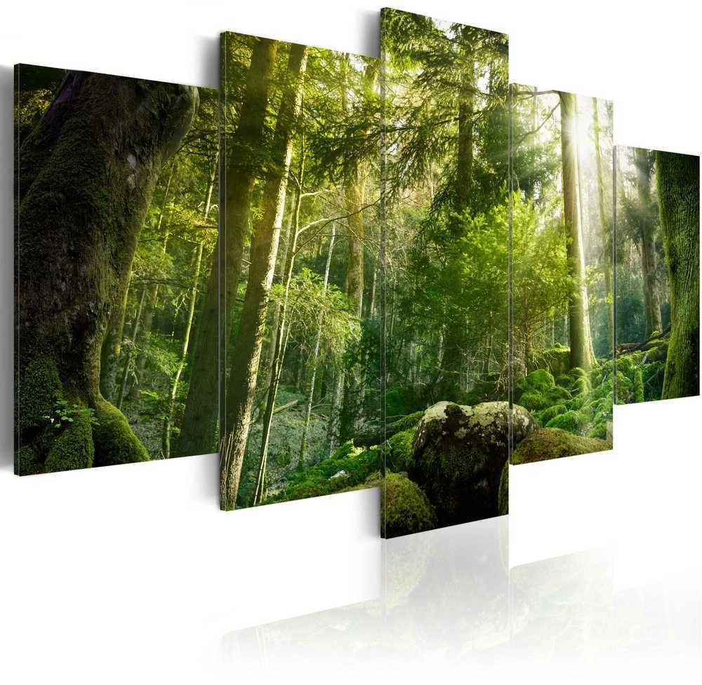 Artgeist Paveikslas - The Beauty of the Forest