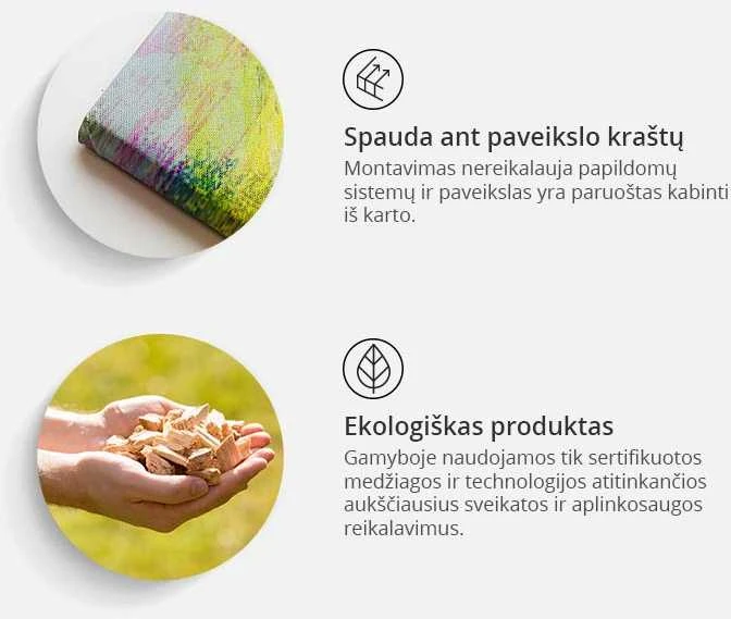Artgeist Paveikslas - The Rokeby Venus (Diego Velázquez)