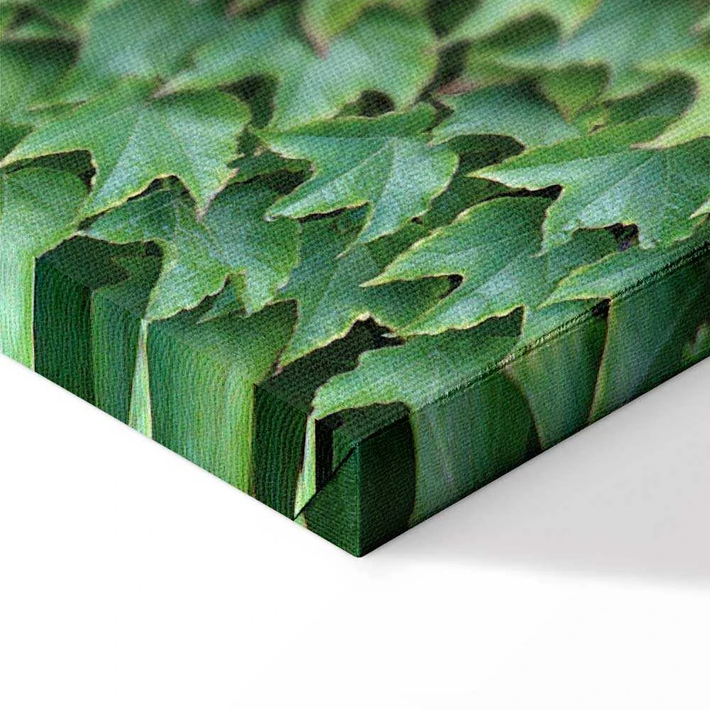 Artgeist Paveikslas - Thick Ivy (1 Part) Vertical