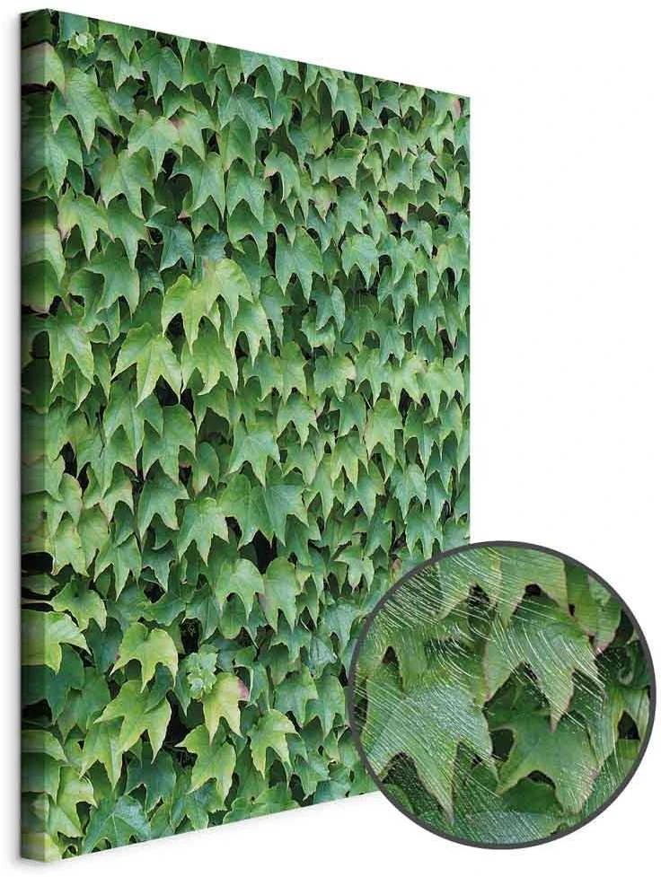 Artgeist Paveikslas - Thick Ivy (1 Part) Vertical