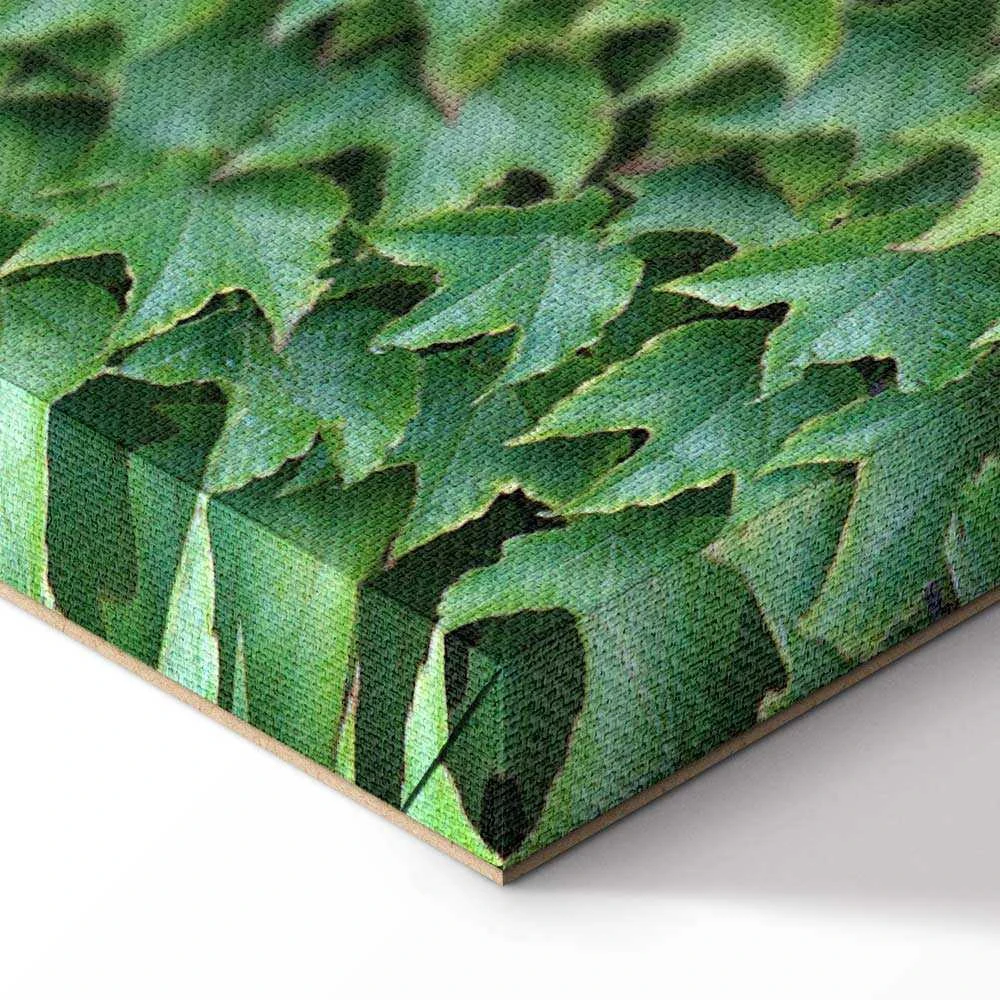 Artgeist Paveikslas - Thick Ivy (1 Part) Vertical
