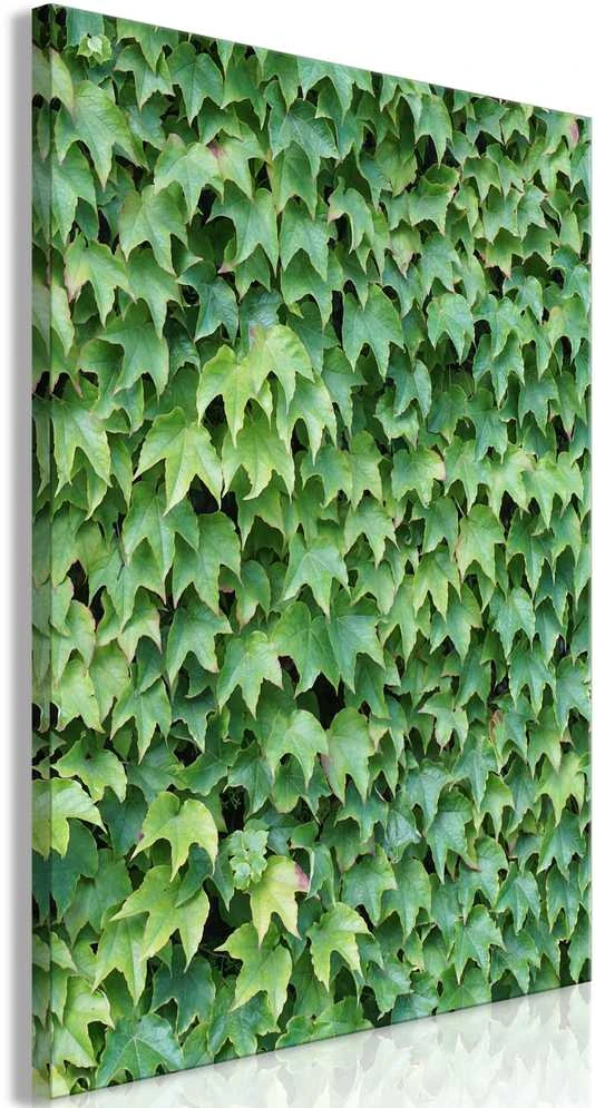 Artgeist Paveikslas - Thick Ivy (1 Part) Vertical