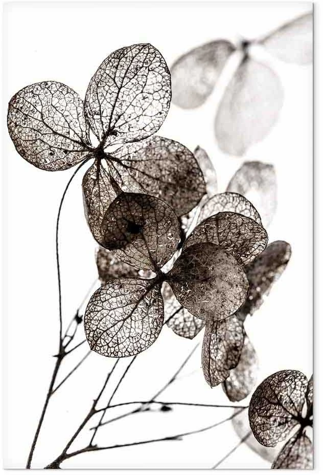 Artgeist Paveikslas - Transparent Clover (1 Part) Vertical
