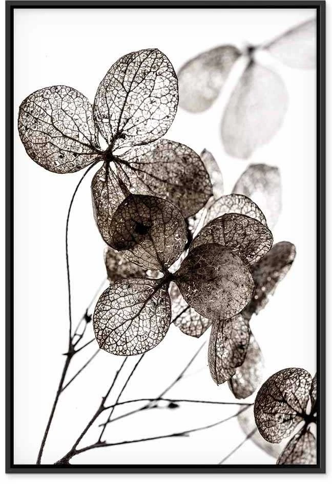 Artgeist Paveikslas - Transparent Clover (1 Part) Vertical