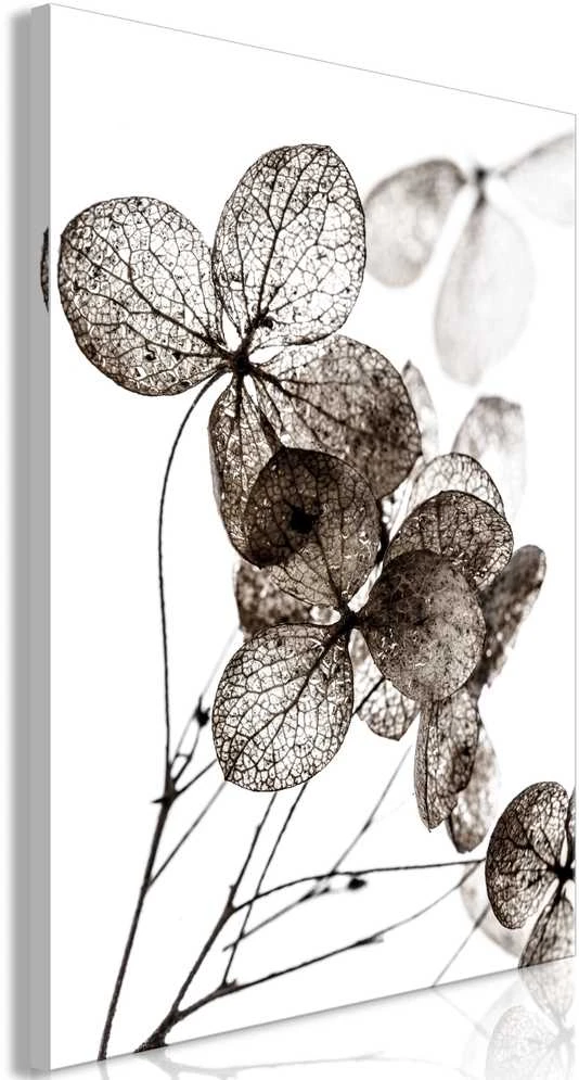 Artgeist Paveikslas - Transparent Clover (1 Part) Vertical