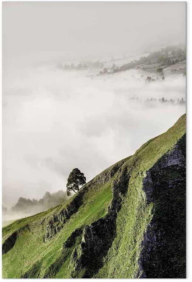 Artgeist Paveikslas - Tree Above Clouds (1 Part) Vertical