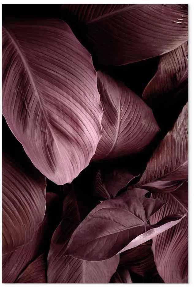Artgeist Paveikslas - Velvet Leaves (1 Part) Vertical