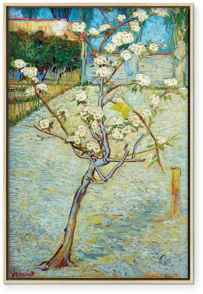 Artgeist Paveikslas - Vincent van Gogh – Blossoming Pear Tree