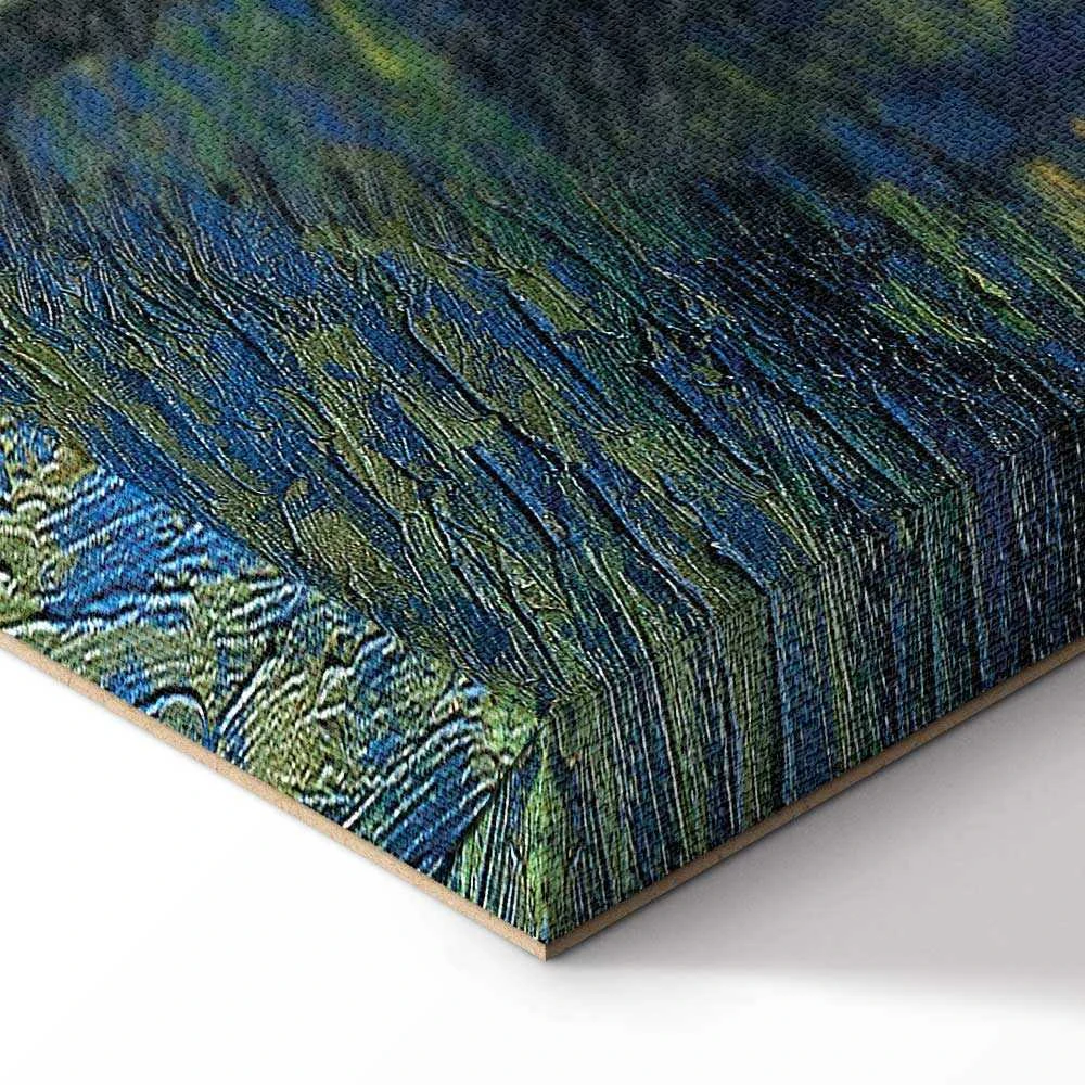 Artgeist Paveikslas - Vincent van Gogh – Starry Night Over the Rhône