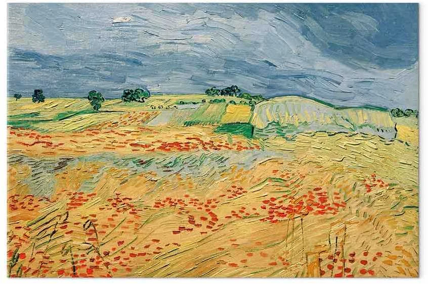 Artgeist Paveikslas - Vincent van Gogh – Fields with Poppies