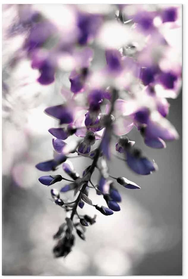 Artgeist Paveikslas - Violet Ringtones (1 Part) Vertical