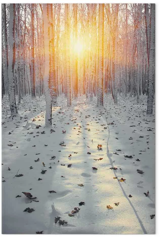 Artgeist Paveikslas - Winter Afternoon (1 Part) Vertical