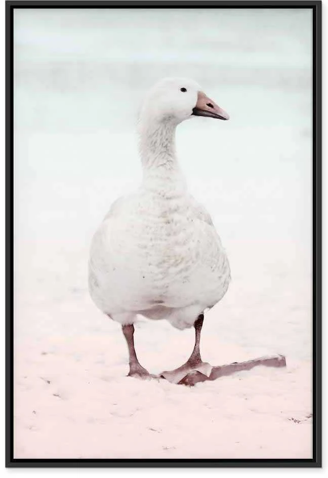 Artgeist Paveikslas - Winter Duck (1 Part) Vertical
