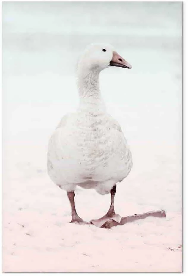 Artgeist Paveikslas - Winter Duck (1 Part) Vertical