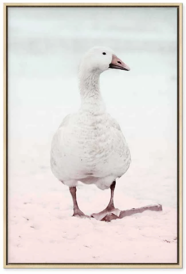 Artgeist Paveikslas - Winter Duck (1 Part) Vertical