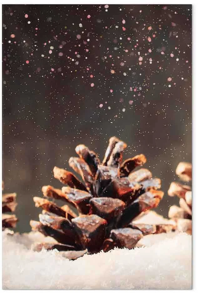 Artgeist Paveikslas - Winter Pine Cone (1 Part) Vertical