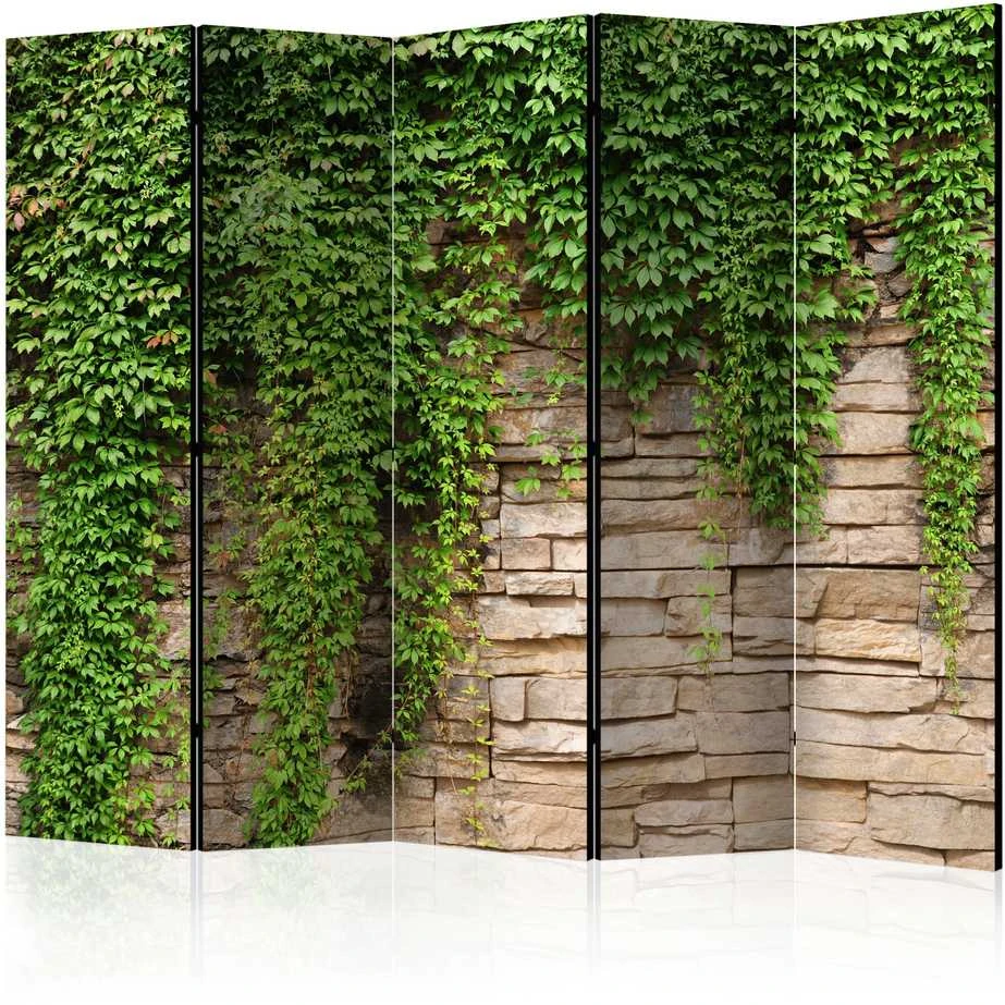 Artgeist Pertvara - Ivy wall II