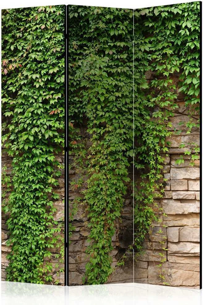 Artgeist Pertvara - Ivy wall