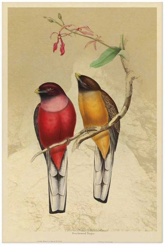 Artgeist Plakatas - Birds on a Branch