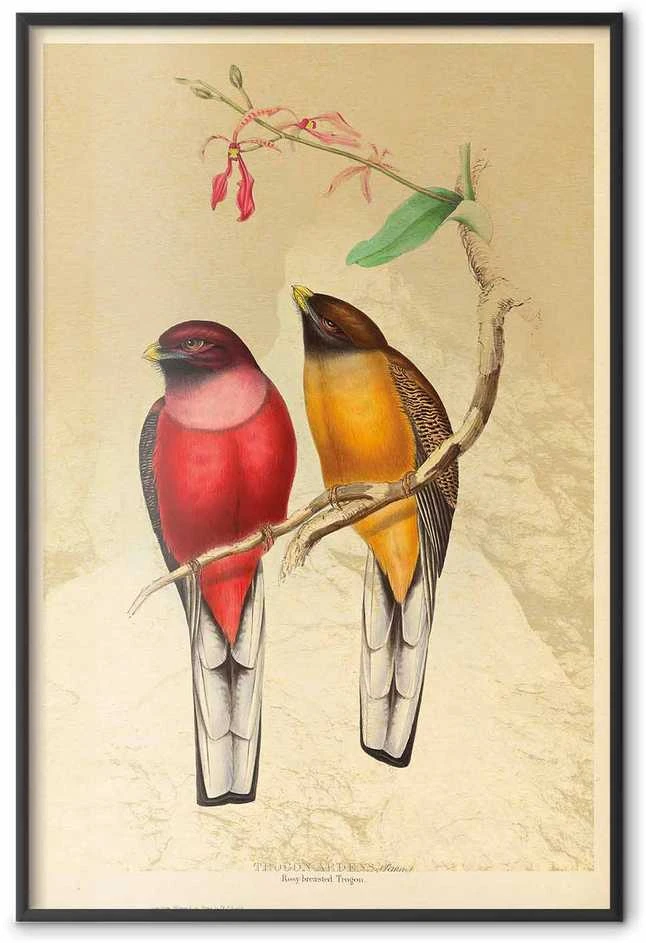 Artgeist Plakatas - Birds on a Branch