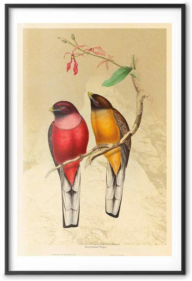 Artgeist Plakatas - Birds on a Branch