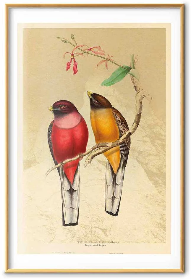 Artgeist Plakatas - Birds on a Branch