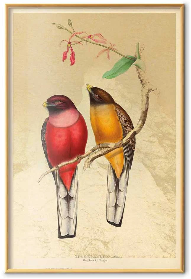 Artgeist Plakatas - Birds on a Branch