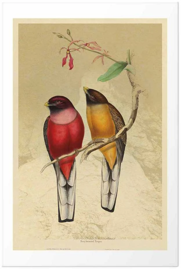 Artgeist Plakatas - Birds on a Branch