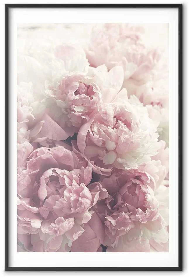 Artgeist Plakatas - Delicate Peonies