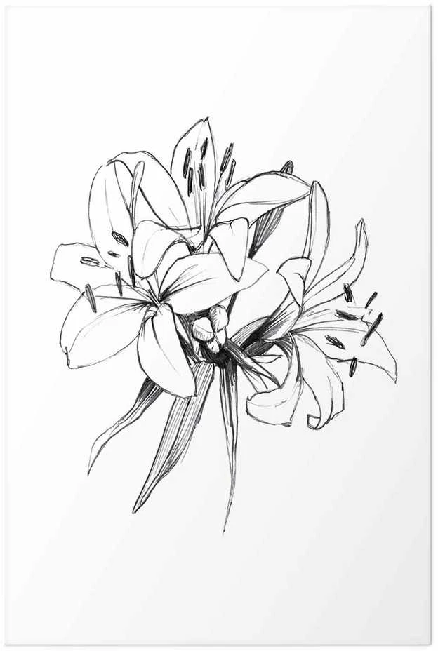 Artgeist Plakatas - Drawn Flowers