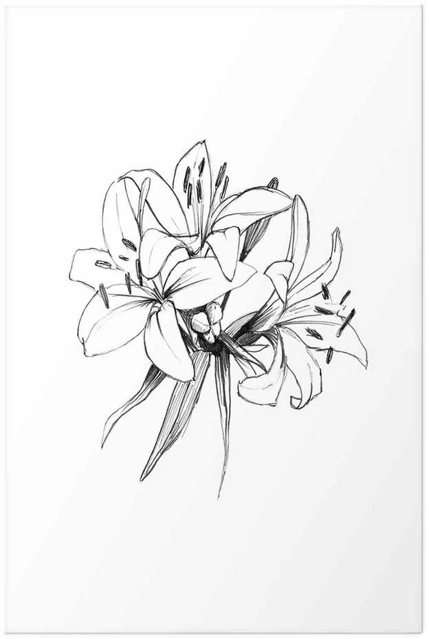 Artgeist Plakatas - Drawn Flowers