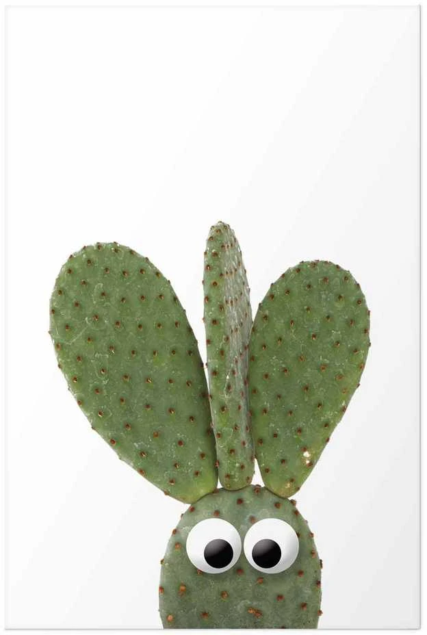 Artgeist Plakatas - Eared Cactus