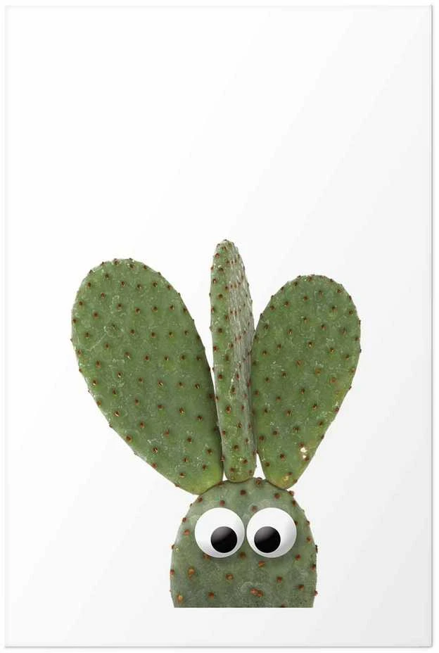 Artgeist Plakatas - Eared Cactus