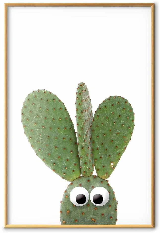 Artgeist Plakatas - Eared Cactus