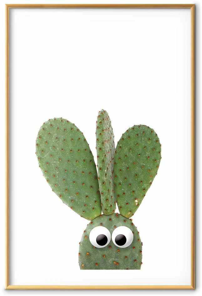 Artgeist Plakatas - Eared Cactus