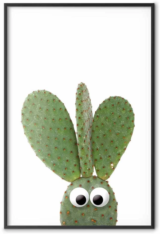 Artgeist Plakatas - Eared Cactus