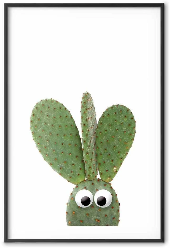 Artgeist Plakatas - Eared Cactus
