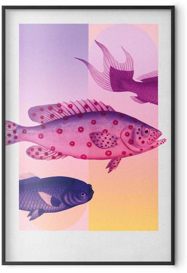 Artgeist Plakatas - Fantastic Fish - artistic illustration of fish on a colorful background
