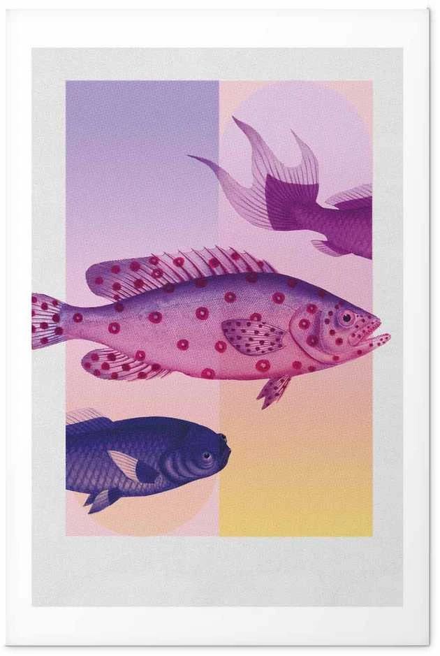 Artgeist Plakatas - Fantastic Fish - artistic illustration of fish on a colorful background