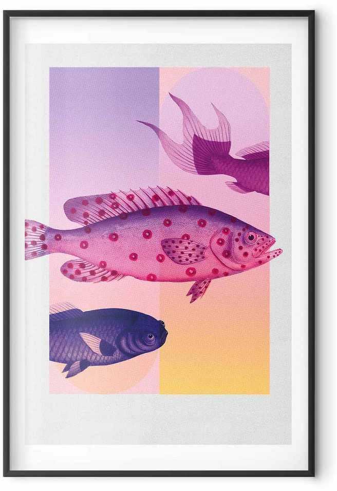 Artgeist Plakatas - Fantastic Fish - artistic illustration of fish on a colorful background