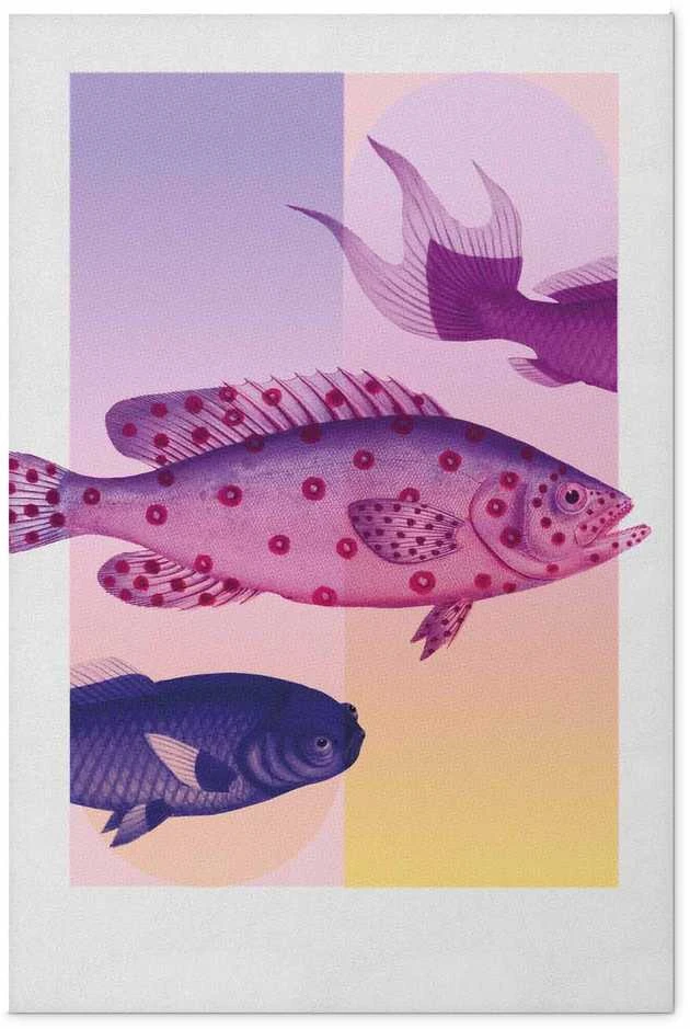 Artgeist Plakatas - Fantastic Fish - artistic illustration of fish on a colorful background