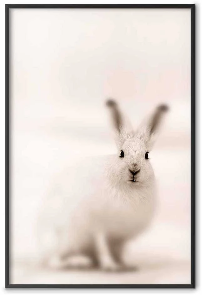 Artgeist Plakatas - Fearful Look