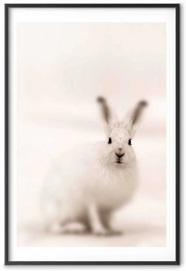 Artgeist Plakatas - Fearful Look