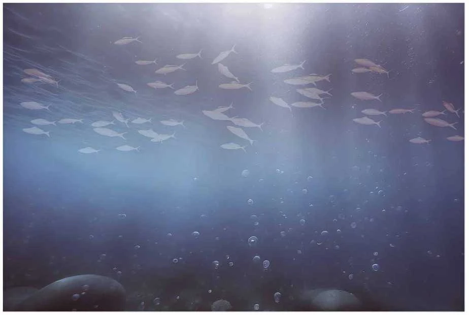 Artgeist Plakatas - Fish in the Depths